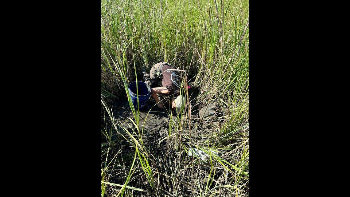 The finds were made as students with the University of North Georgia Archaeological Field School dug 40 holes over five days. The work was done under permit with the South Carolina Department of Natural Resources.