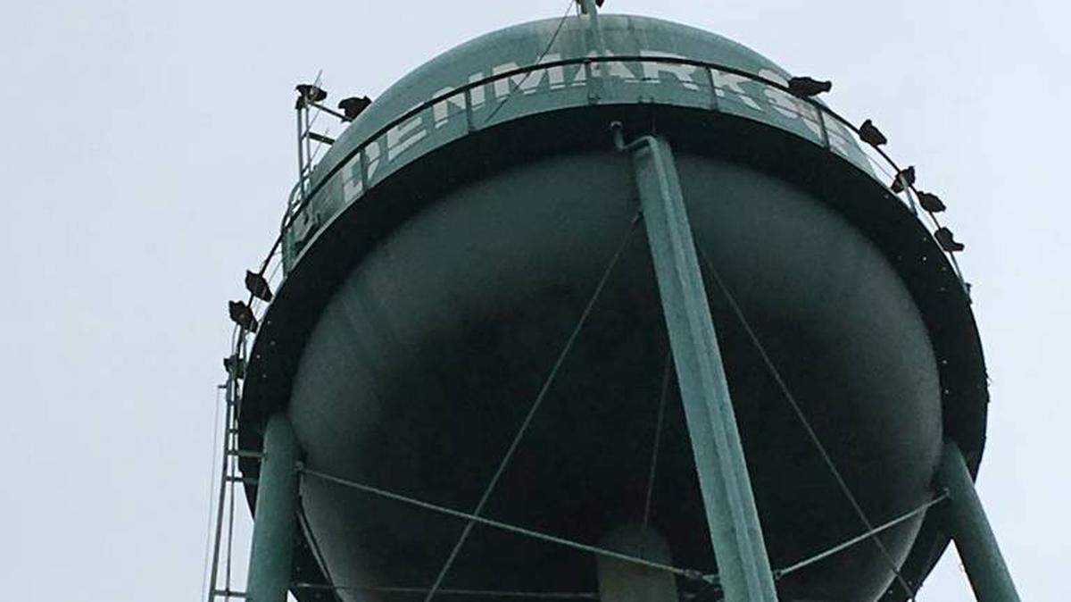 Buzzards roosted on a water tank in Denmark, SC. several years ago. The town water system has been a source of local concern for years.