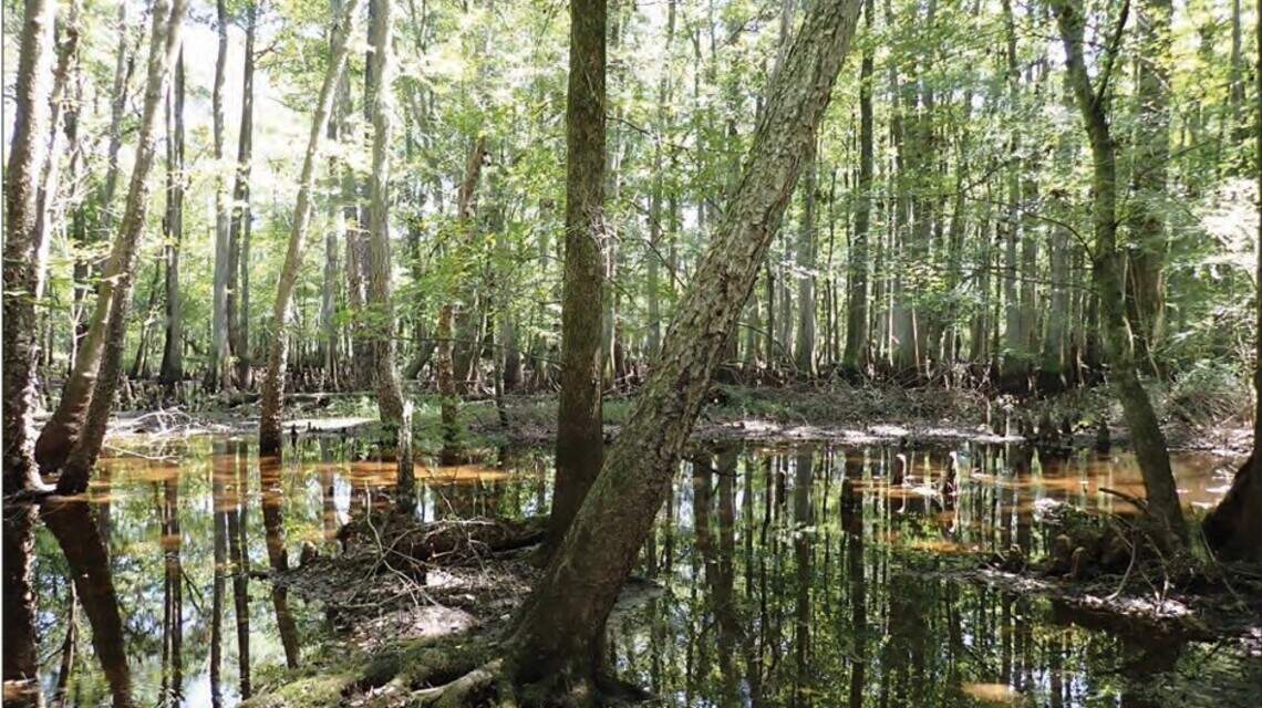 Landowners seek to overturn approval for huge power plant in South Carolina