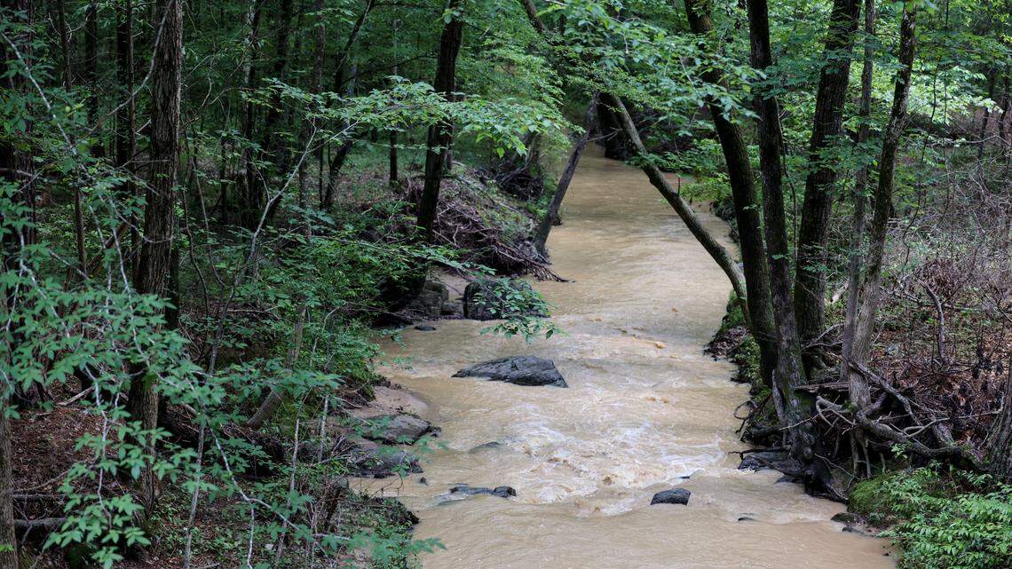 Muddy water flows down Beasley Creek in Blythewood near Turkey Farm Road on Tuesday, May 13, 2025.