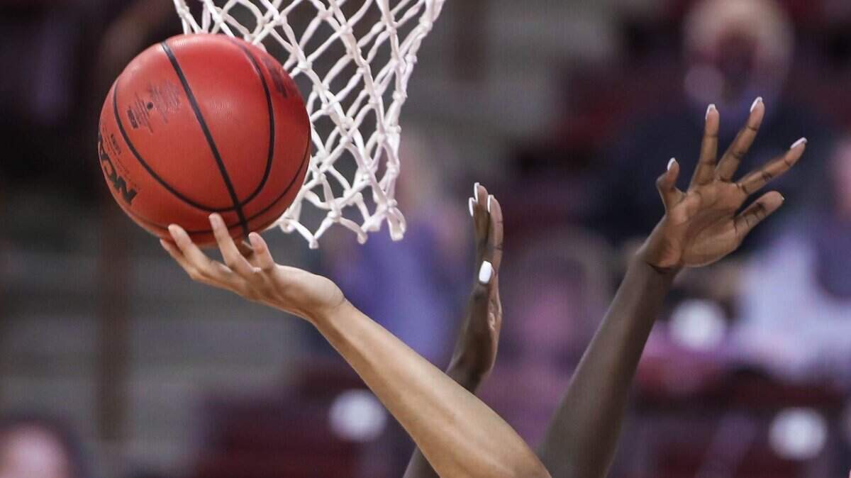 South Carolina basketball