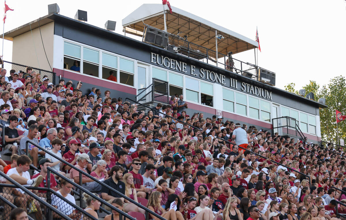 South Carolina fans look on during the Gamecocks’ game against Tigers in Columbia on Friday, August 30, 2024.