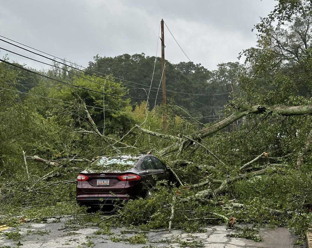 Scores of trees fell in Upstate South Carolina during Tropical Storm Helene.