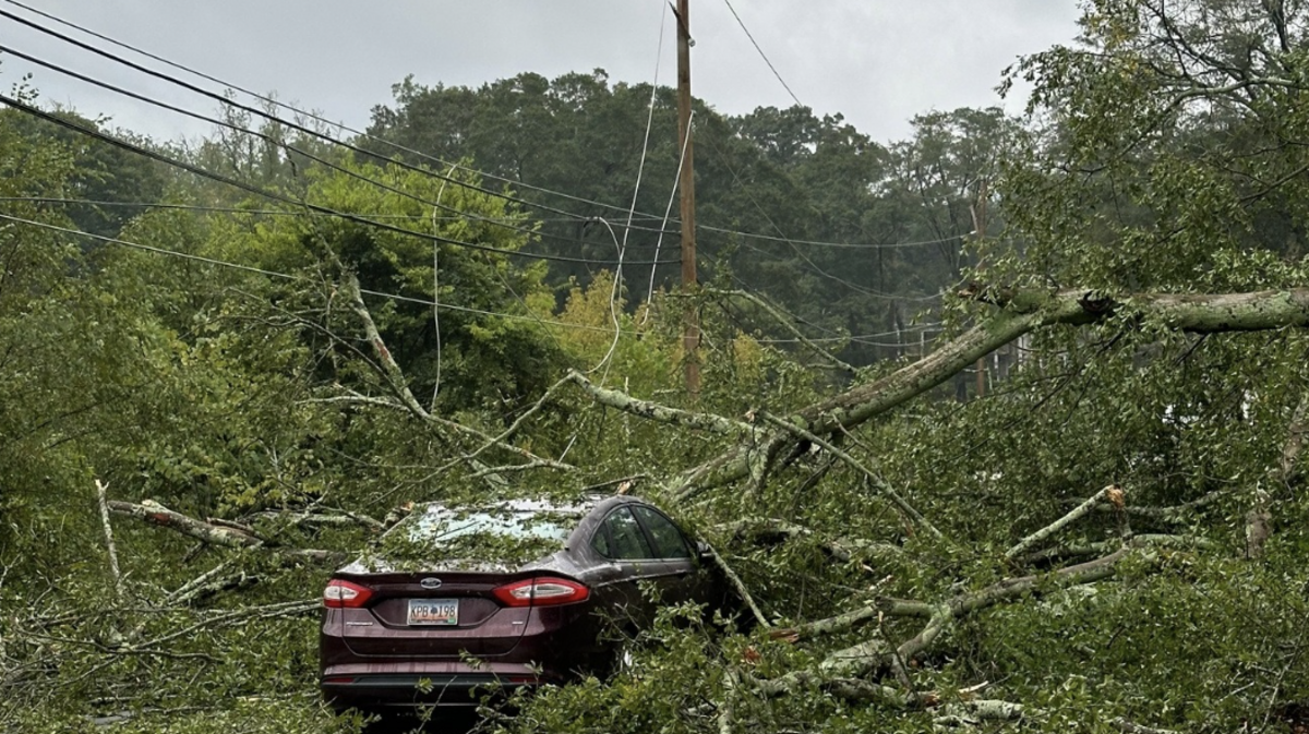 Scores of trees fell in Upstate South Carolina during Tropical Storm Helene.