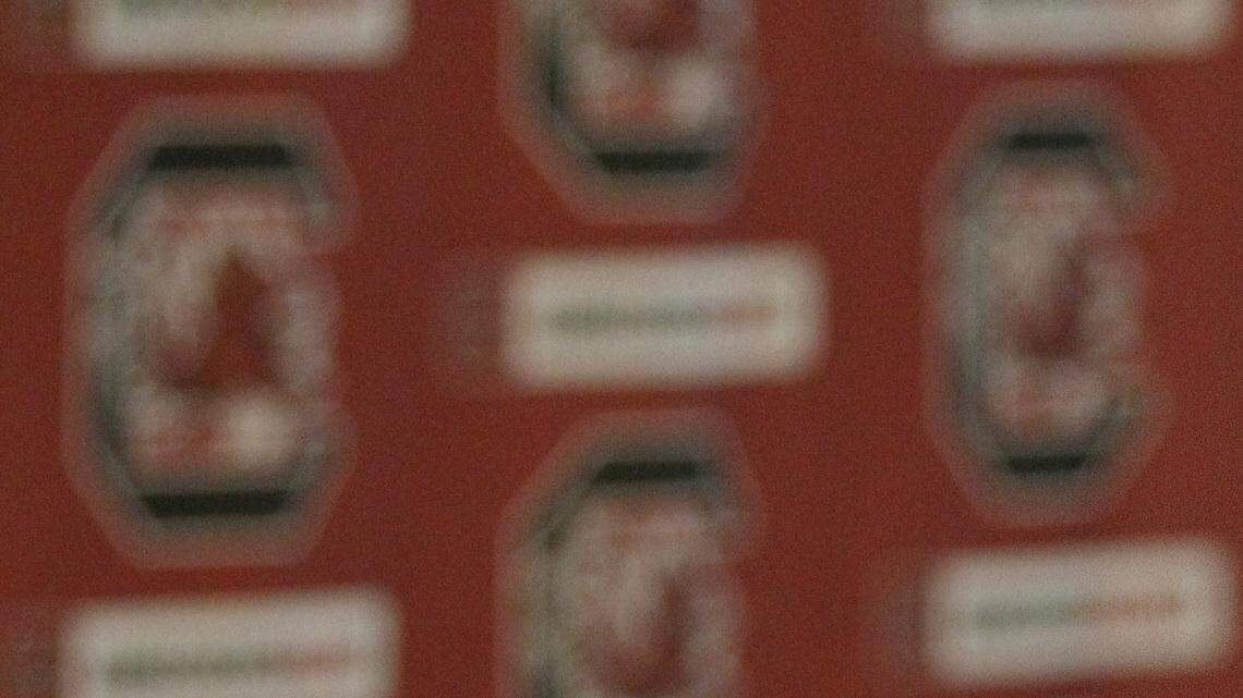 Chad Holbrook joins his wife Jennifer and sons, Reece and Cooper after a press conference where he was promoted to head baseball coach by new athletics director Ray Tanner Monday. Holbrook replaces Tanner, who was named athletics director on Friday.