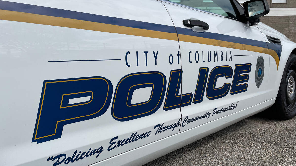 The Columbia Police Department is investigating a series of auto break-ins where suspects stole money, debit cars and jewelry, police say.
