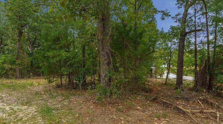 Get Real Estate: $150,000 properties in Chapin, Shandon, Redbank and The Summit
