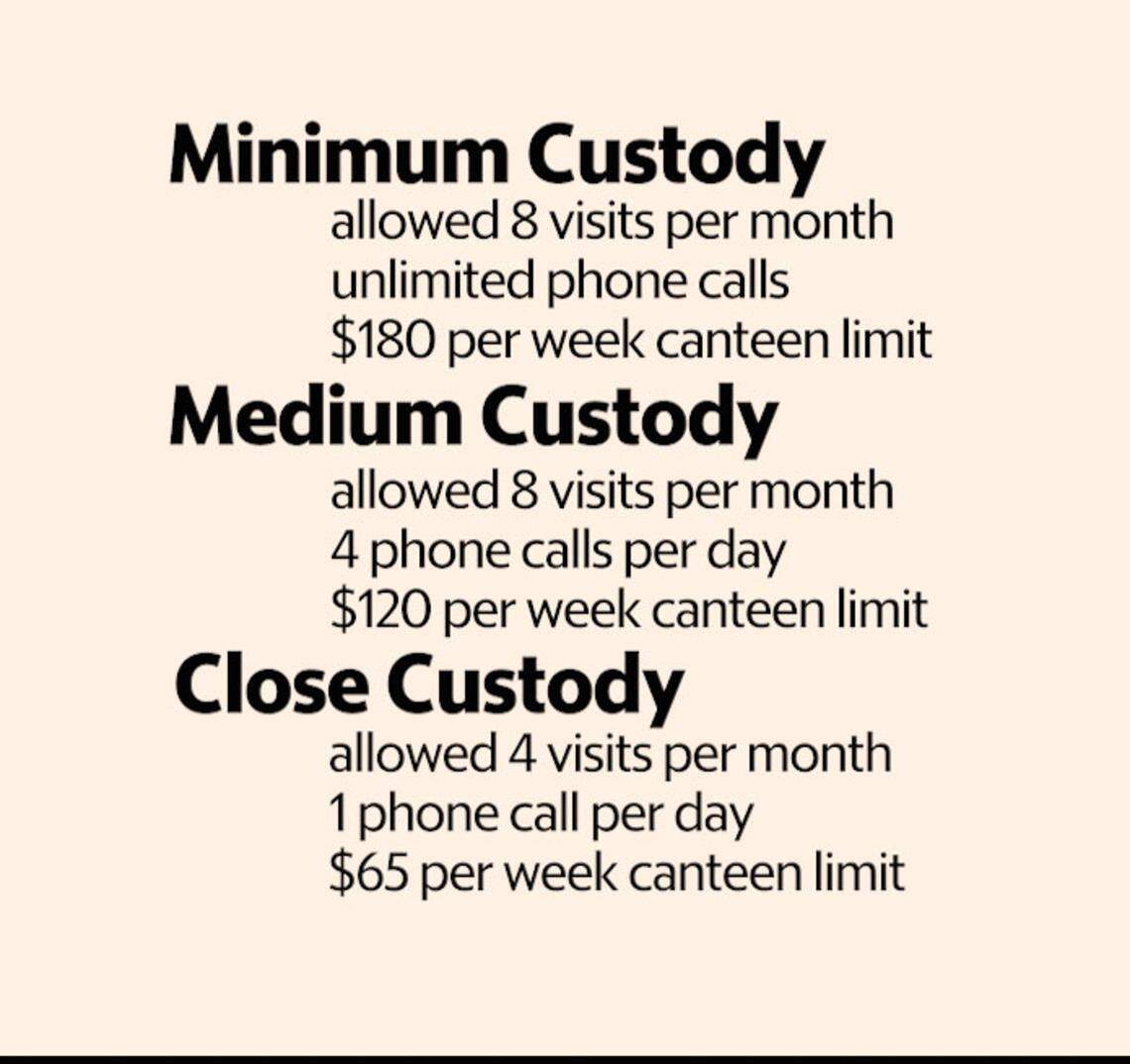 A graphic shows the three main custody levels and related privileges at the South Carolina Department of Corrections.