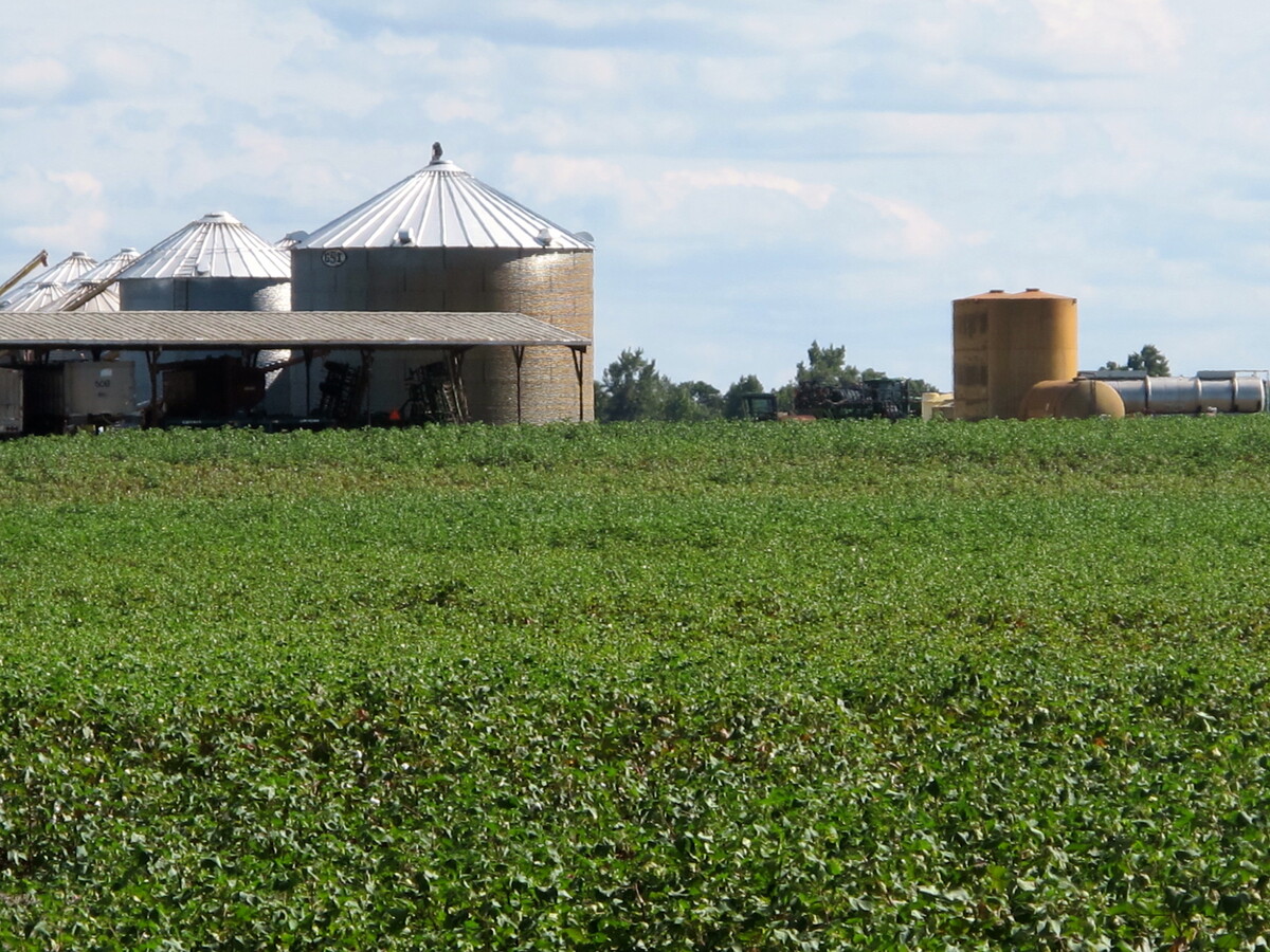 Farm land is mostly what is left of Fort Motte in Calhoun County. Now extinct, the town is part of present-day St. Matthews.