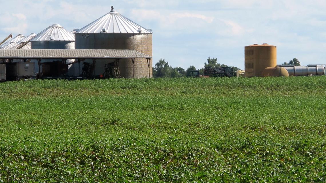 The SC Department of Agriculture has proposed using more than $90 million in federal COVID-19 relief money to help the farmers in the state and provide food to food banks.