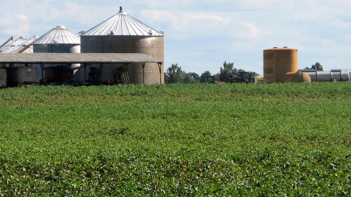 The SC Department of Agriculture has proposed using more than $90 million in federal COVID-19 relief money to help the farmers in the state and provide food to food banks.