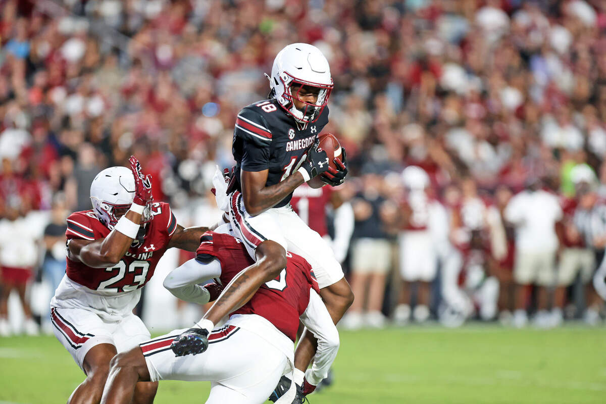 South Carolina’s Brian Rowe Jr. makes a big catch Friday in the 2025 Garnet and Black Spring Game at Williams-Brice Stadium.