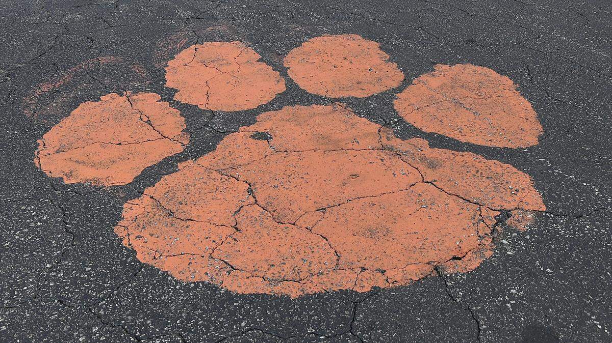 Clemson University