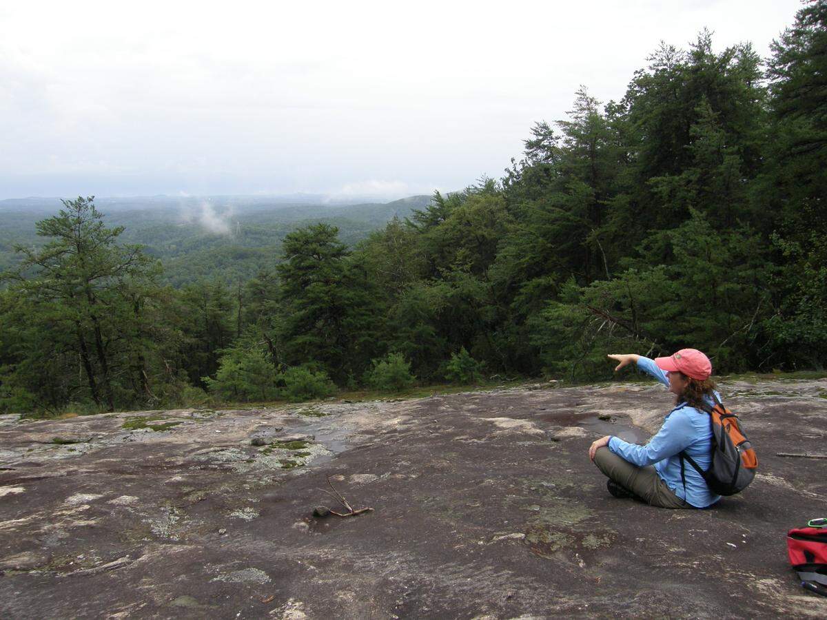 Rocky domes like this one are found in a string of low mountains in the Nine Times area of Pickens County. A rare type of ragweed with a fragrant smell has been discovered in this area.