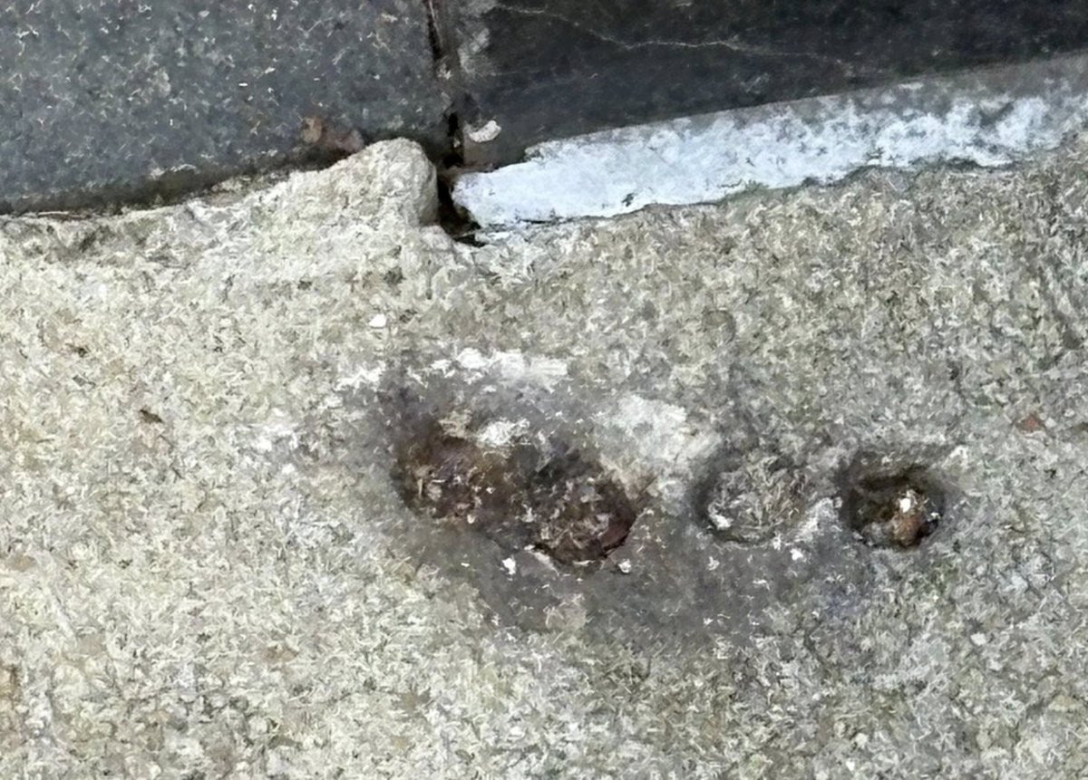 Teeny Tiny Millie, one of the popular Mice of Main sculptures in downtown Greenville, was wrested from her perch outside a Main Street bank this week, carried off and then returned the next day.