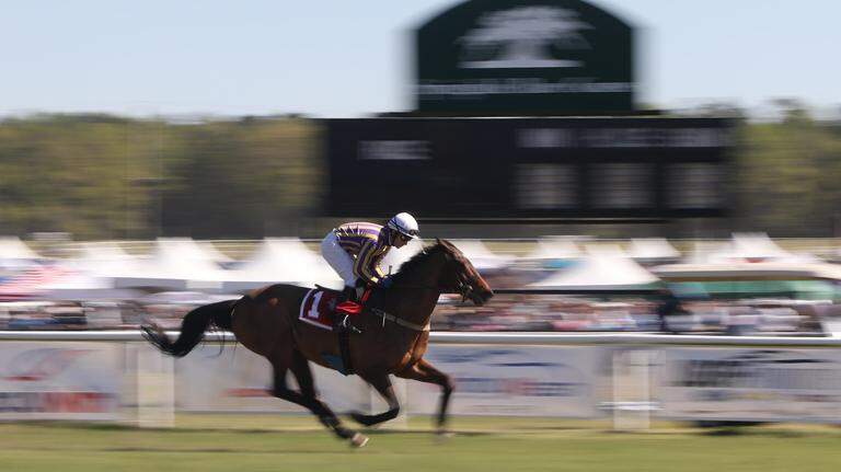 Photos: A day at the Carolina Cup taken by USC photojournalism students
