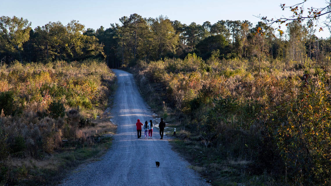 SC voters hoped penny tax would fix roads in their communities. But USC benefited most