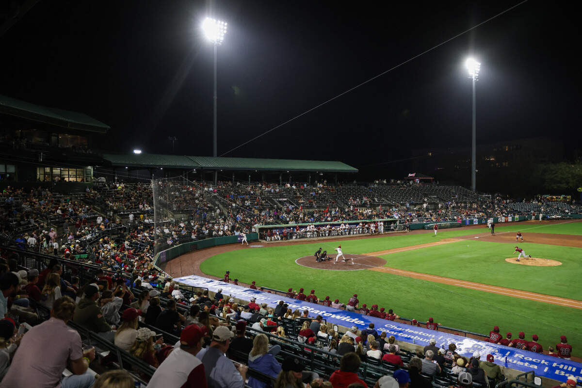 Fans watch the Gamecocks’ game against the College of Charleston at Joseph P. Riley, Jr. Park in Charleston on Thursday, November 7, 2024.