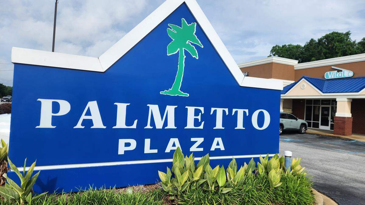 The Palmetto Plaza shopping center on Sunset Boulevard in Lexington, SC.