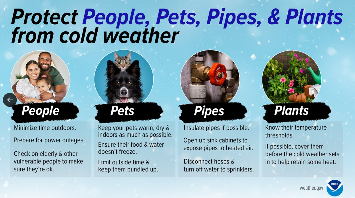 Precautions to take as temperatures drop below freezing.