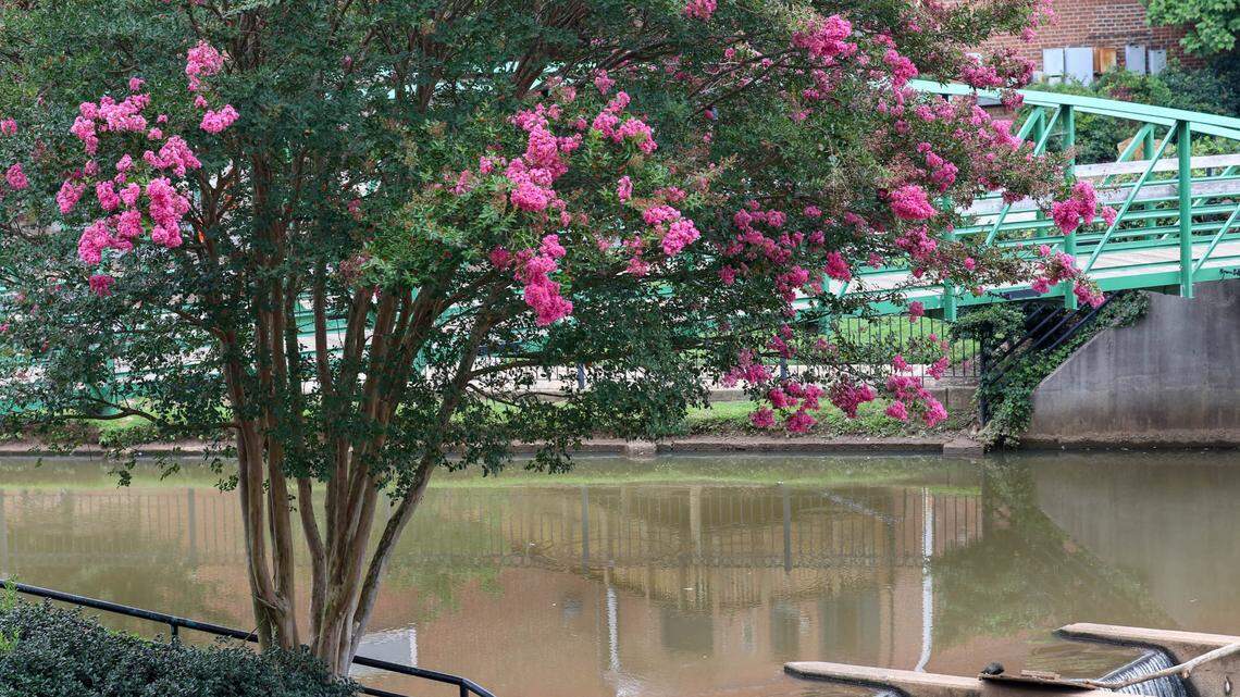 Falls Park on the Reedy was named one of the best city parks in the country.