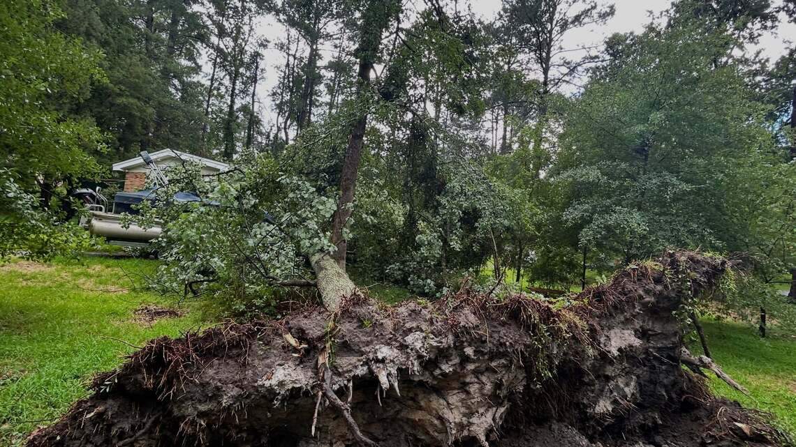 Heavy thunderstorm ‘microburst’ downed trees, cut power for many in Forest Acres