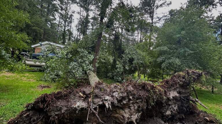 Heavy thunderstorm ‘microburst’ downed trees, cut power for many in Forest Acres