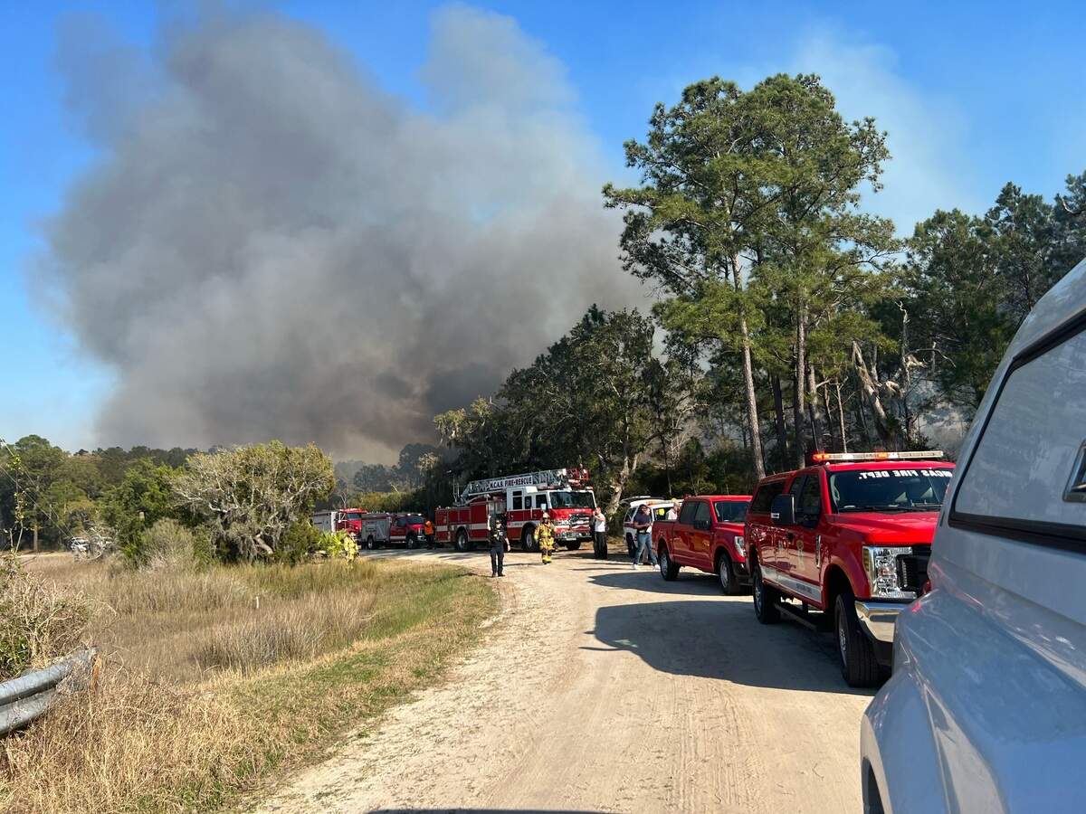 A plume of smoke rises in the distance after a fighter jet crashed Thursday, March 3, 2022 on Coosaw Plantation, the family property of former South Carolina governor and congressman Mark Sanford.