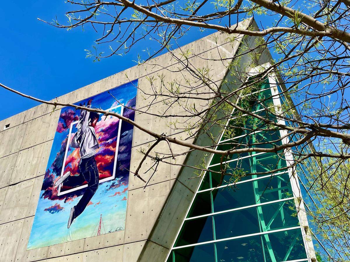 Ija Charles’ ”Leap” banner on the outside of the Richland Library main brain on Assembly Street in downtown Columbia.