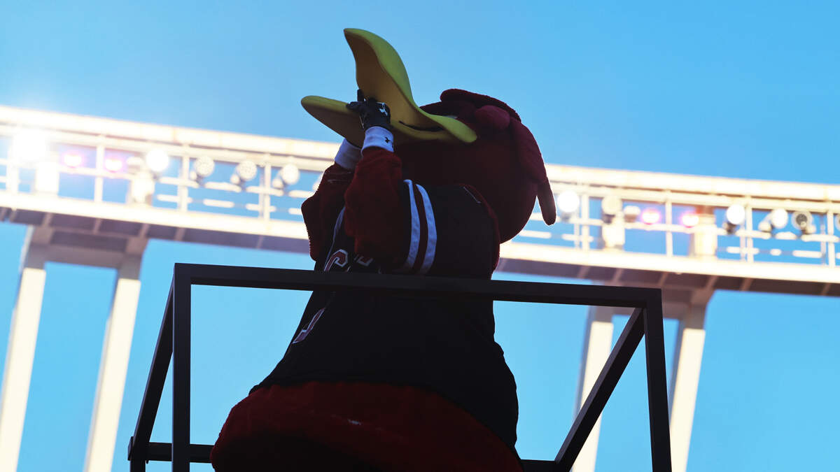 South Carolina mascot Cocky