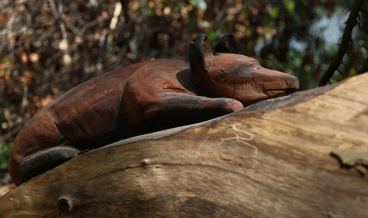 Wade Geddings uses a chainsaw to carve animal sculptures in fallen timber at the Cayce Riverwalk. Many of the trees fell during the historic 2015 floods.