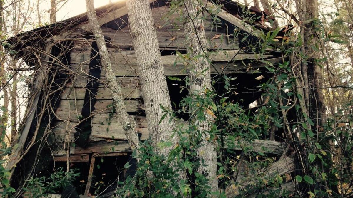 Scenes along South Carolina’s backroads
