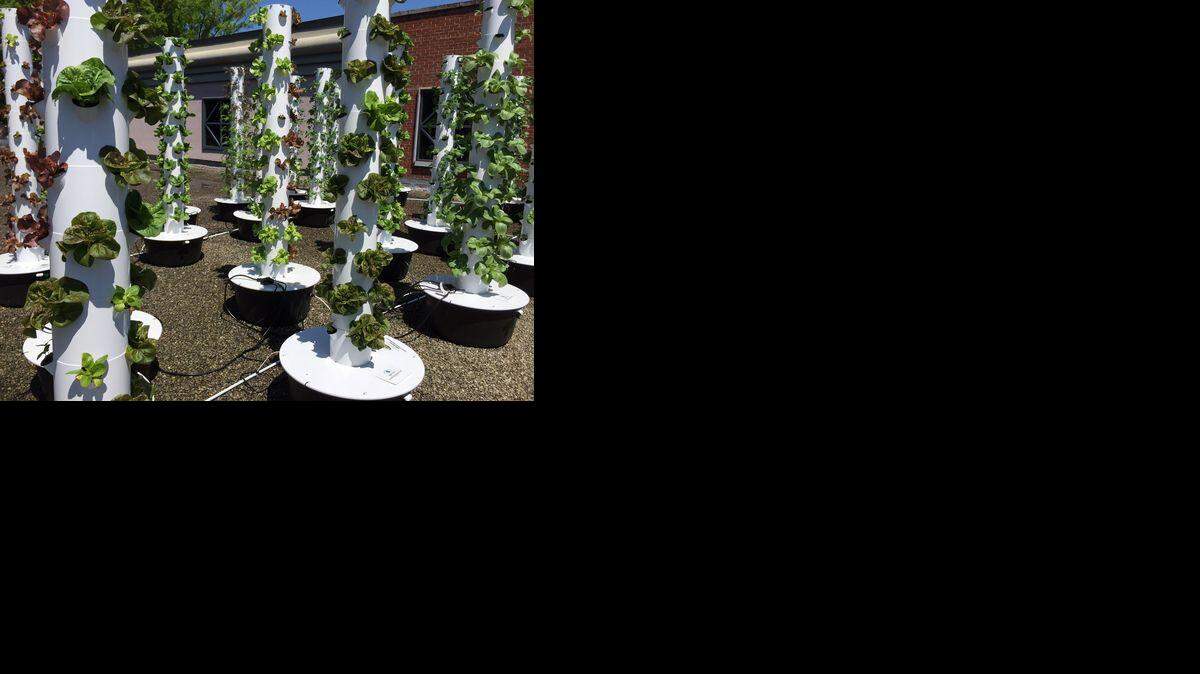 
Greenville’s rooftop farm was officially dedicated earlier this week. 
