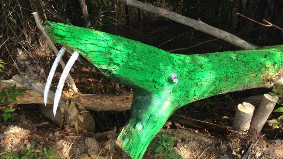 The painted reptile, created from a downed tree along I-20 westbound between Clemson Road and I-77 in Columbia.