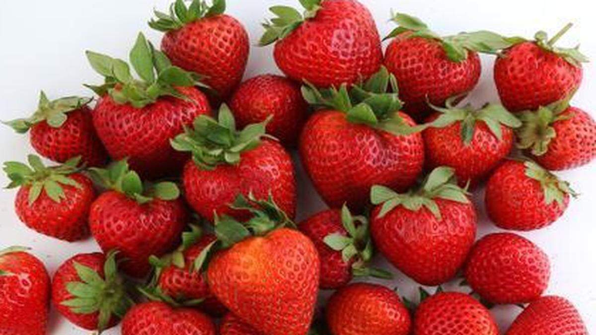 
It’s strawberry picking season in South Carolina!
