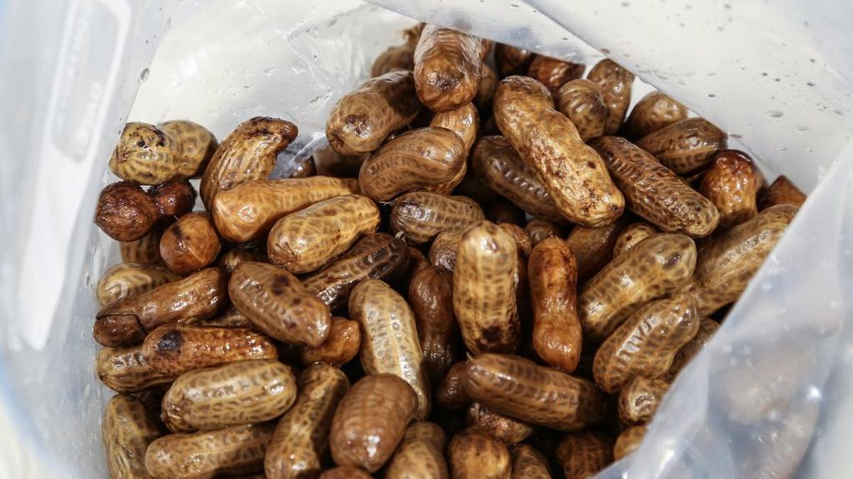 The Palmetto Peanut Boil is looking for participants at the Sept. 30 cook off. See calendar for details.