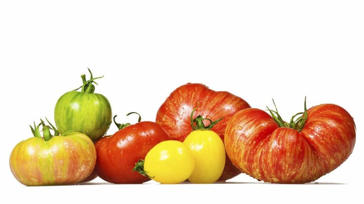 Join the fun at the SPLAT tomato festival in Little Mountain, Saturday, July 22