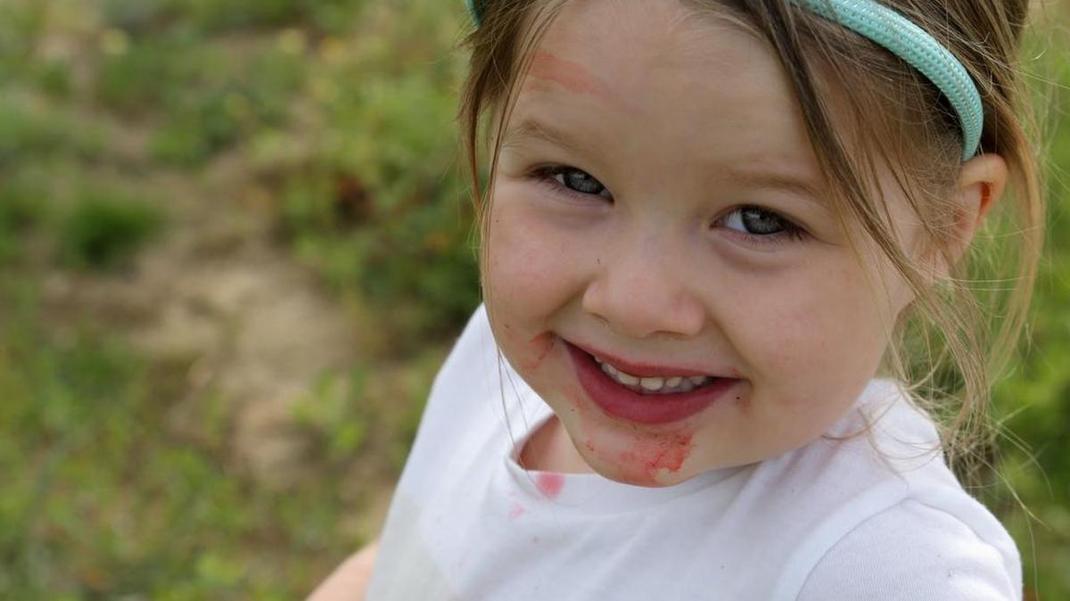 Mia Wheeler, 4, ate a few strawberries while recently picking with her mother, Lisa Wheeler.