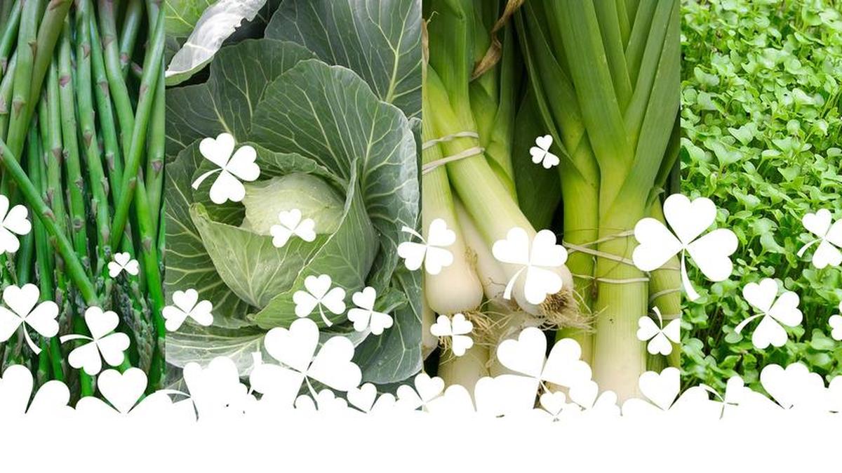 Green vegetables for St. Patrick’s Day: asparagus, cabbage, leeks and microgreens.