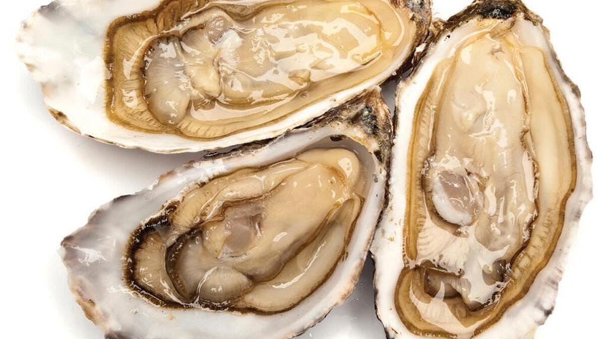 River Rat Brewery’s Brewmasters Oyster Roast is 5:30-9:30 p.m. Friday, Dec. 9.