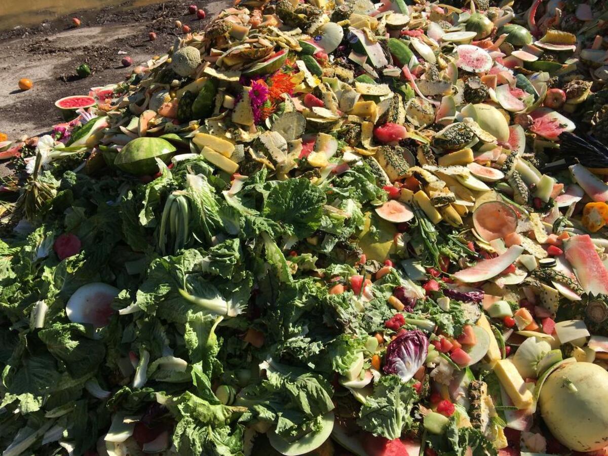 Food waste comes in to Re-Soil, near Elgin, and is composted over a 15 day period.