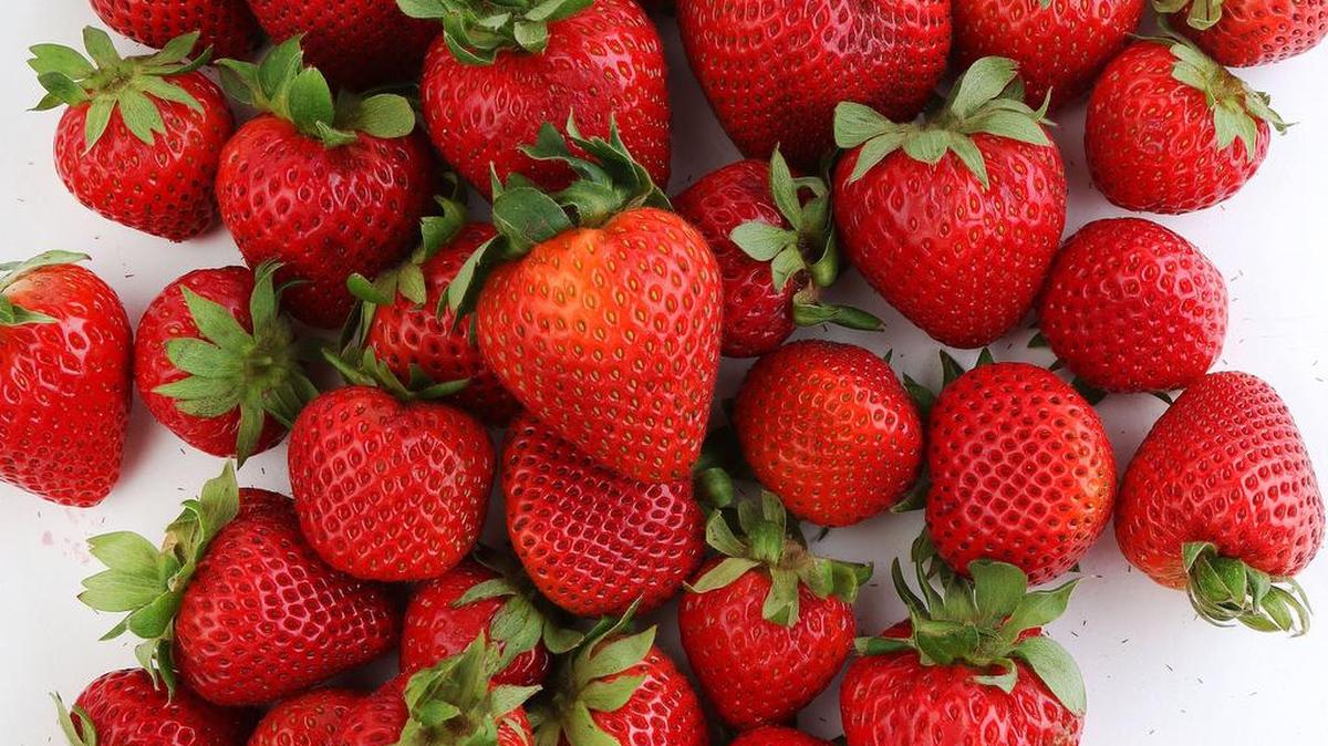 The 2017 strawberry season has arrived!