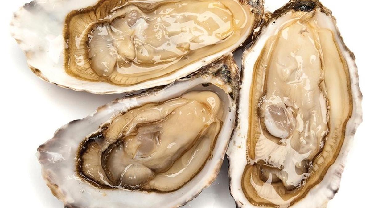 The Lake Carolina Oyster Roast is Saturday