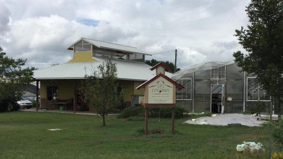 City Roots Farm in the Rosewood neighborhood in Columbia, SC