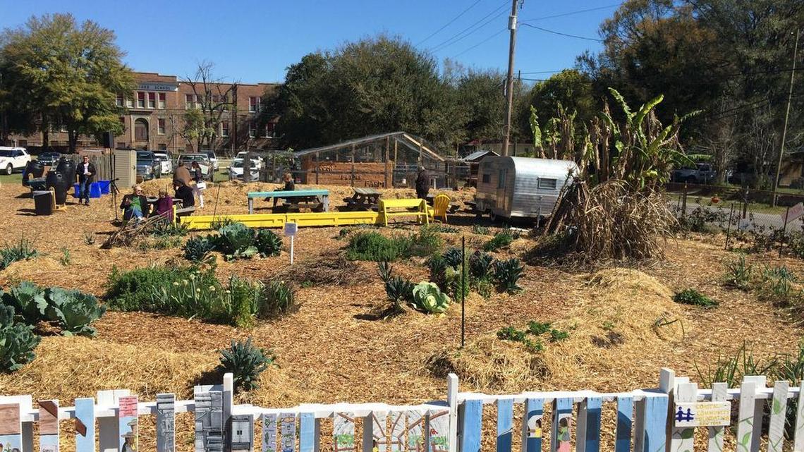 How one SC woman is creating an oasis in a food desert