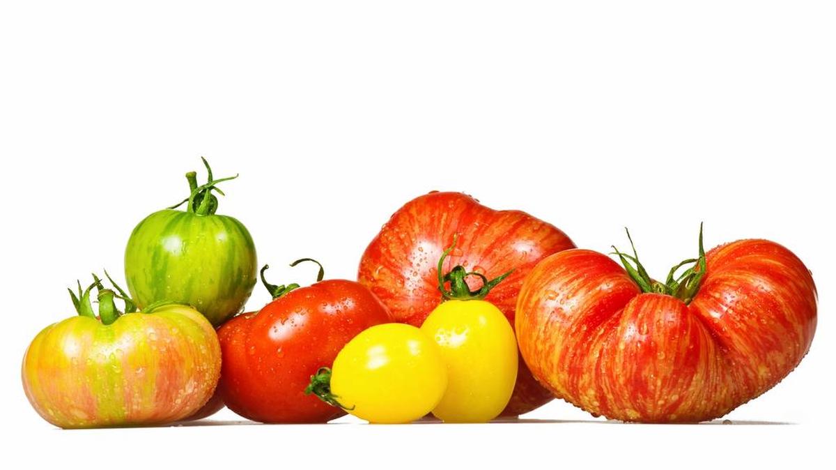 Tomato season is here! Celebrate with upcoming festivals in the Columbia area.