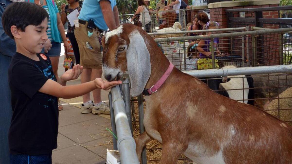Children can enjoy a variety of farm-themed events at the ‘Farmville’ event at EdVenture Museum, Saturday, Sept. 10, in Columbia.