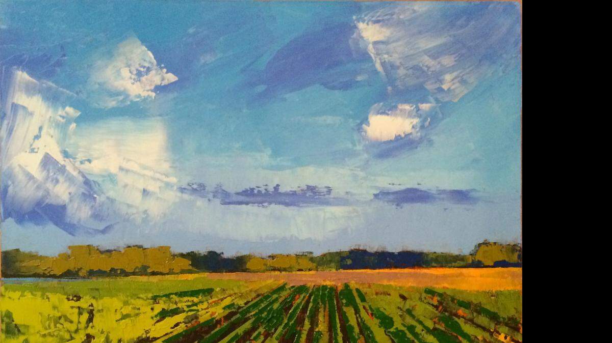 
Minervaville: Summer Cotton Fields
