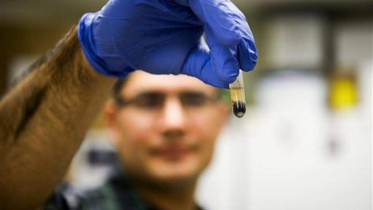 
In this photo taken Thursday, Aug. 13, 2015, Reyes Murrieta, a Colorado State University graduate research assistant, tests mosquitos for the West Nile virus in Fort Collins, Colo. In the decade-plus since those early days of West Nile virus study, determining whether mosquitoes are positive for the potentially lethal virus has calmed remarkably. (Erin Hull/The Coloradoan via AP) MANDATORY CREDIT
