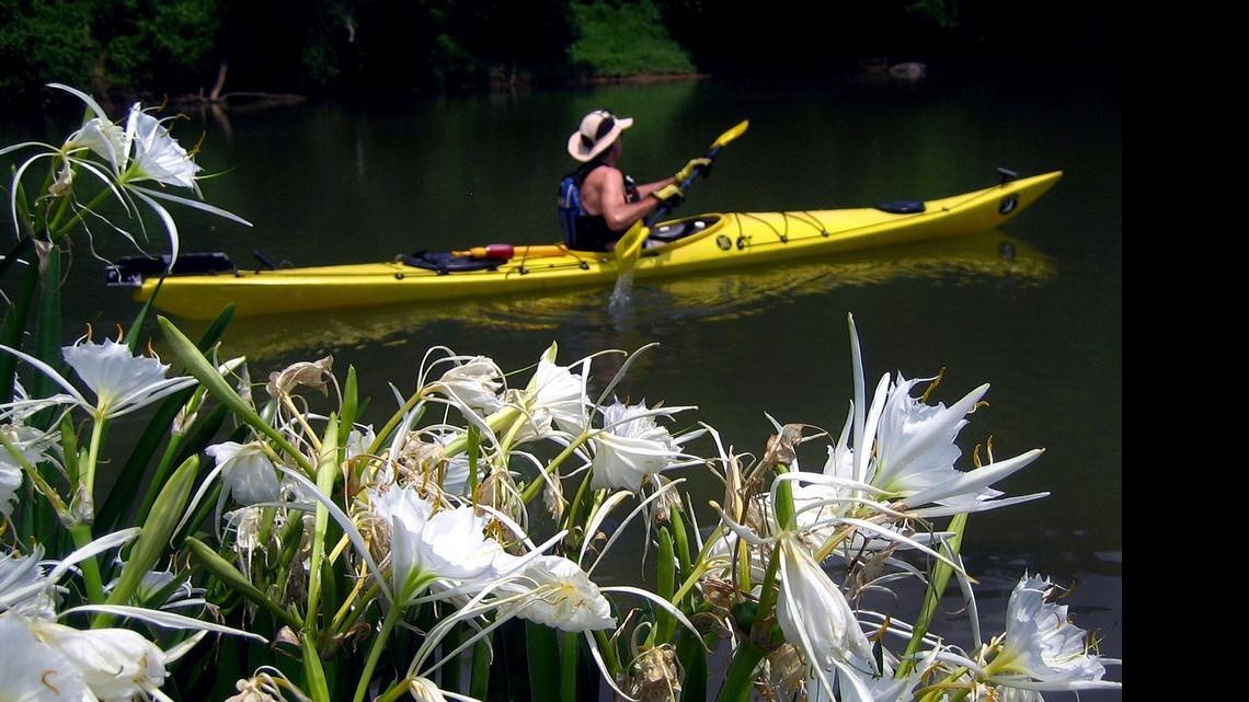 There’s a surprise perk in Panthers’ deal with York County — SC wetlands protection